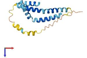 AlphaFold protein structure predicition of Human Recombinant FUNDC1 Protein, UniprotID Q8IVP5