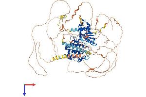 AlphaFold protein structure predicition of Mouse Recombinant Sik2 Protein, UniprotID Q8CFH6