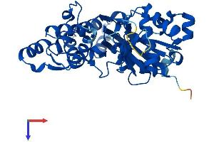 AlphaFold protein structure predicition of Human Recombinant ACTG1 Protein, UniprotID P63261