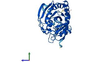 AlphaFold protein structure predicition of Mouse Recombinant Mtap Protein, UniprotID Q9CQ65