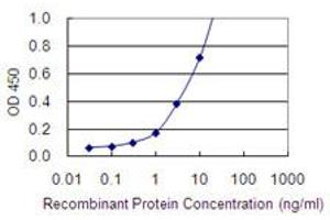 Detection limit for recombinant GST tagged SNAPC2 is 0.