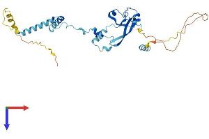 AlphaFold protein structure predicition of Human Recombinant FRA10AC1 Protein, UniprotID Q70Z53