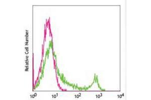 Flow cytometric analysis of mouse spleen cells using Anti-CD8 Antibody, followed by anti-mouse IgG PE.