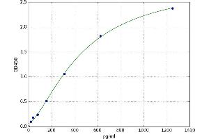 Gap Junction Protein, alpha 5, 40kDa (GJA5) ELISA Kit