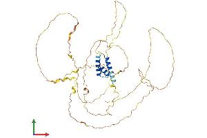 AlphaFold protein structure predicition of Human Recombinant IRX2 Protein, UniprotID Q9BZI1