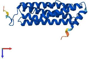 AlphaFold protein structure predicition of Human Recombinant FTH1 Protein, UniprotID P02794