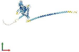 AlphaFold protein structure predicition of Human Recombinant SEPTIN14 Protein, UniprotID Q6ZU15