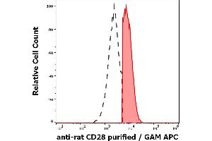 Separation of rat CD28 positive splenocytes (red-filled) from CD28 negative splenocytes (black-dashed) in flow cytometry analysis (surface staining) of rat splenocytes suspension stained using anti-rat CD28 (JJ319) purified antibody (concentration in sample 4 μg/mL) GAM APC.