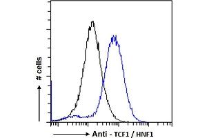 ABIN334504 Flow cytometric analysis of paraformaldehyde fixed HepG2 cells (blue line), permeabilized with 0. (HNF1A anticorps  (Internal Region))