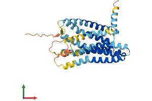 AlphaFold protein structure predicition of Human Recombinant OR2W3 Protein, UniprotID Q7Z3T1