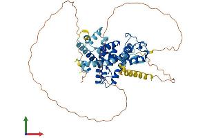 AlphaFold protein structure predicition of Mouse Recombinant Nr1h4 Protein, UniprotID Q60641