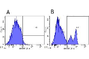 Flow-cytometry using anti-CD40 antibody G28.