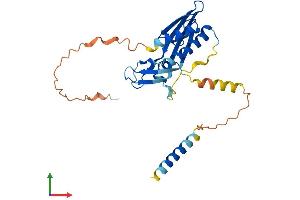 AlphaFold protein structure predicition of Mouse Recombinant Rtp1 Protein, UniprotID Q8C8C1