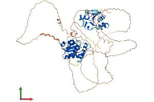 AlphaFold protein structure predicition of Human Recombinant DUSP16 Protein, UniprotID Q9BY84