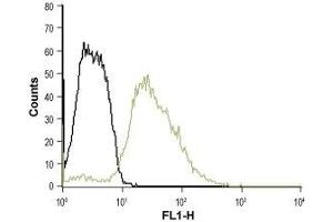 Cell surface detection of Serotonin receptor 3B in K562 intact living cells: (black line) Unstained cells (green line) Cells + Anti-5HT3B Receptor (HTR3B) (extracellular)-ATTO Fluor-488 Antibody, (ABIN7043623), (5-10 μg/0.