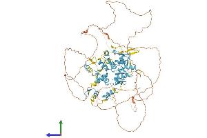 AlphaFold protein structure predicition of Human Recombinant ZFX Protein, UniprotID P17010