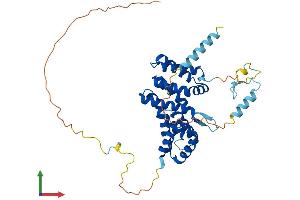 AlphaFold protein structure predicition of Mouse Recombinant Paip1 Protein, UniprotID Q8VE62