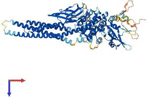 AlphaFold protein structure predicition of Human Recombinant STAT4 Protein, UniprotID Q14765