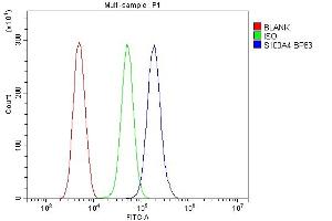 Flow Cytometry analysis of THP-1 cells using anti-S100A4 antibody (ABIN7600462). (s100a4 anticorps  (AA 2-101))