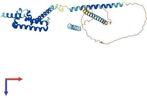AlphaFold protein structure predicition of Human Recombinant CFAP36 Protein, UniprotID Q96G28