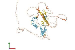 AlphaFold protein structure predicition of Human Recombinant IKZF1 Protein, UniprotID Q13422