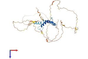 AlphaFold protein structure predicition of Mouse Recombinant Ssbp3 Protein, UniprotID Q9D032