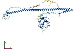 AlphaFold protein structure predicition of Mouse Recombinant Bspry Protein, UniprotID Q80YW5