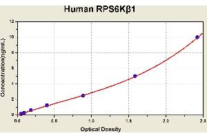 Diagramm of the ELISA kit to detect Human RPS6Kbeta 1with the optical density on the x-axis and the concentration on the y-axis. (RPS6KB1 Kit ELISA)