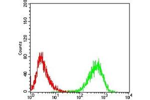Flow cytometric analysis of Jurkat cells using CD99 mouse mAb (green) and negative control (red).