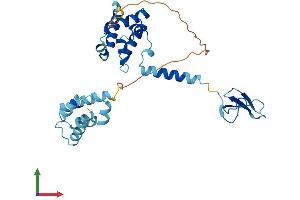 AlphaFold protein structure predicition of Mouse Recombinant Tcea1 Protein, UniprotID P10711