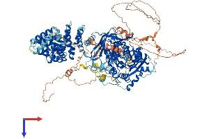 AlphaFold protein structure predicition of Mouse Recombinant Agtpbp1 Protein, UniprotID Q641K1