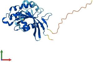 AlphaFold protein structure predicition of Mouse Recombinant Rab39a Protein, UniprotID Q8BHD0
