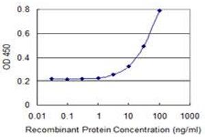 Detection limit for recombinant GST tagged C13orf31 is 1 ng/ml as a capture antibody. (LACC1 anticorps  (AA 1-430))