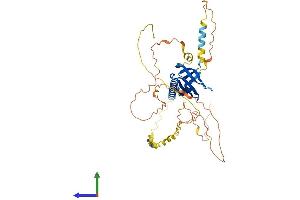 AlphaFold protein structure predicition of Human Recombinant PHLDA1 Protein, UniprotID Q8WV24