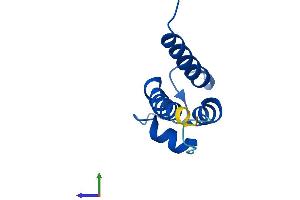 AlphaFold protein structure predicition of Human Recombinant S100A8 Protein, UniprotID P05109