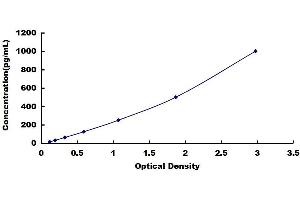 Typical standard curve (ACE2 Kit ELISA)