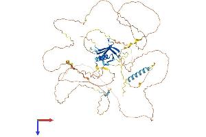 AlphaFold protein structure predicition of Mouse Recombinant Gab2 Protein, UniprotID Q9Z1S8