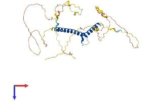 AlphaFold protein structure predicition of Human Recombinant ATOH1 Protein, UniprotID Q92858