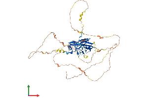 AlphaFold protein structure predicition of Human Recombinant TBX21 Protein, UniprotID Q9UL17