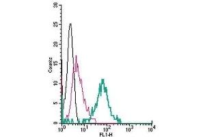 Cell surface detection of TRPV4 in live intact mouse J774 macrophage cells: (black line) Cells.