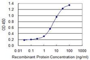 Detection limit for recombinant GST tagged FASN is 0. (Fatty Acid Synthase anticorps  (AA 1-439))