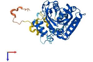 AlphaFold protein structure predicition of Human Recombinant ABHD4 Protein, UniprotID Q8TB40