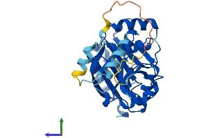 AlphaFold protein structure predicition of Human Recombinant GLYATL2 Protein, UniprotID Q8WU03