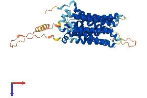 AlphaFold protein structure predicition of Mouse Recombinant Slc29a2 Protein, UniprotID Q61672