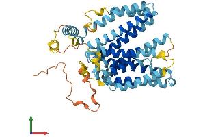 AlphaFold protein structure predicition of Mouse Recombinant Slc22a17 Protein, UniprotID Q9D9E0