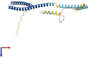 AlphaFold protein structure predicition of Mouse Recombinant Chmp4c Protein, UniprotID Q9D7F7