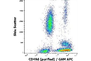 Flow cytometry surface staining pattern of human peripheral whole blood stained using anti-human CD49d (9F10) purified antibody (concentration in sample 1 μg/mL) GAM APC. (ITGA4 anticorps)