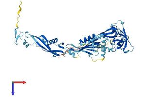 AlphaFold protein structure predicition of Mouse Recombinant Nmd3 Protein, UniprotID Q99L48