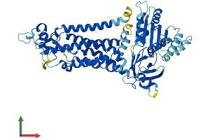 AlphaFold protein structure predicition of Human Recombinant NOX1 Protein, UniprotID Q9Y5S8