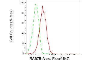 Flow cytometric analysis of RAB7B expression in HepG2 cells using RAB7B antibody (ABIN7800104), 1:2,000). (Recombinant RAB7B anticorps)